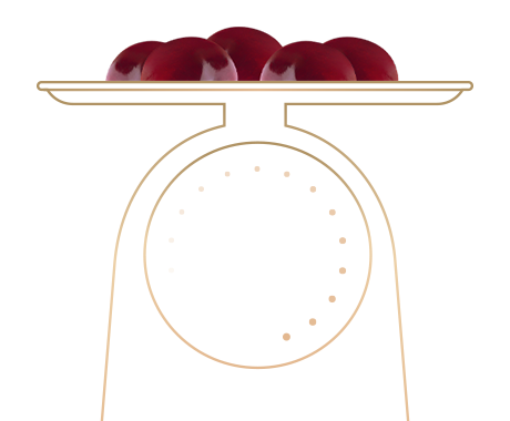 illustration_landing